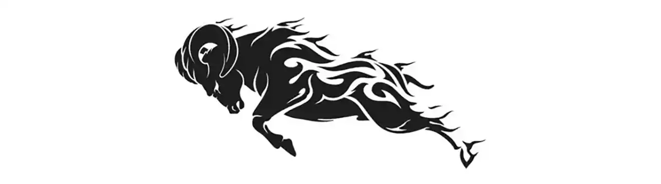 Øvelse Bukkesprang 2025